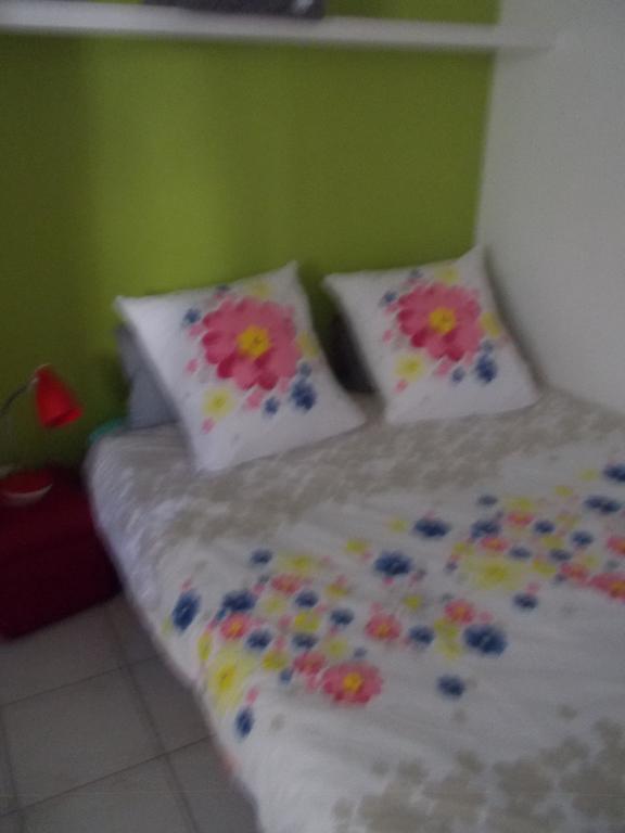 Centre Le Saint Pierre Appartement *